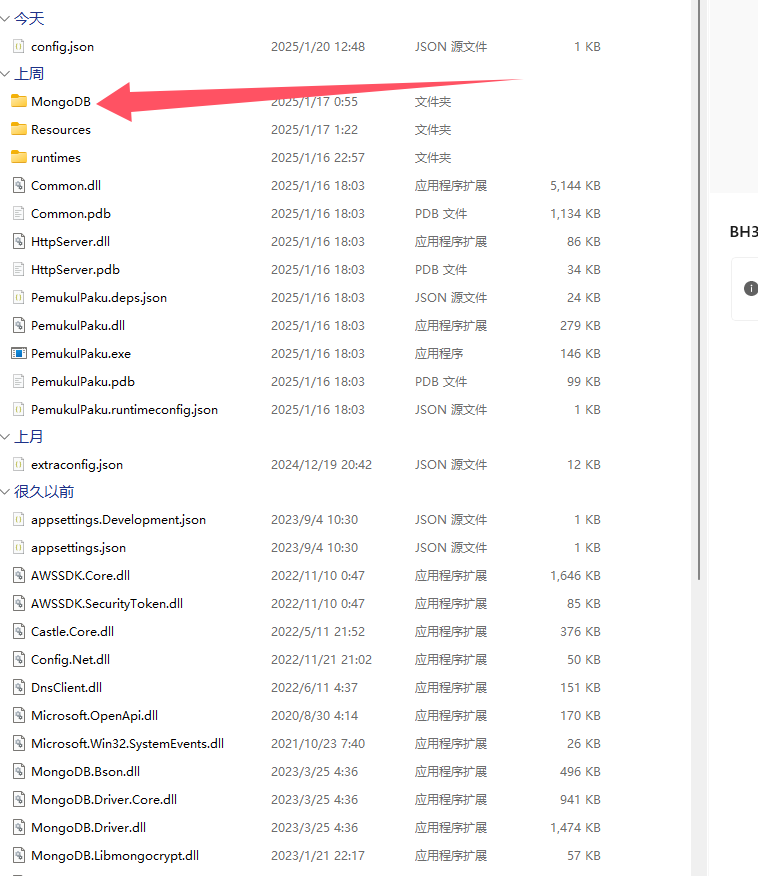 20250120135409760-1000014605